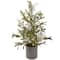 2ft. Unlit Potted White Berry & Frosted Pine Christmas Tree